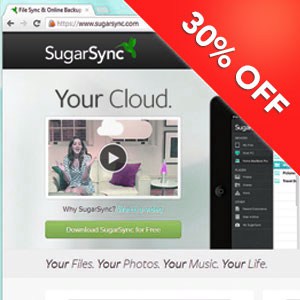 SugarSync 30 Off Christmas