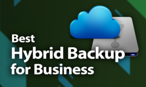 best hybrid backup