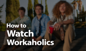 Watch Workaholics