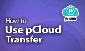 pCloud Transfer